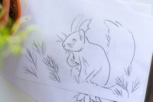 Na zdjęciu widać kartkę papieru z czarno-białym rysunkiem wiewiórki wykonanym cienką linią